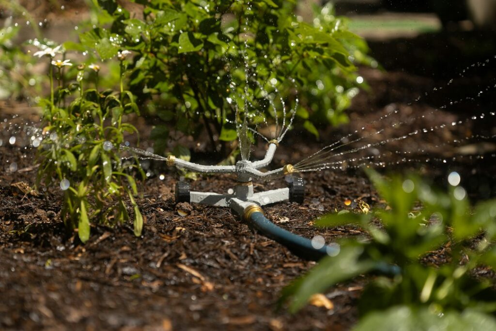Irrigatore automatico che bagna una zona del giardino