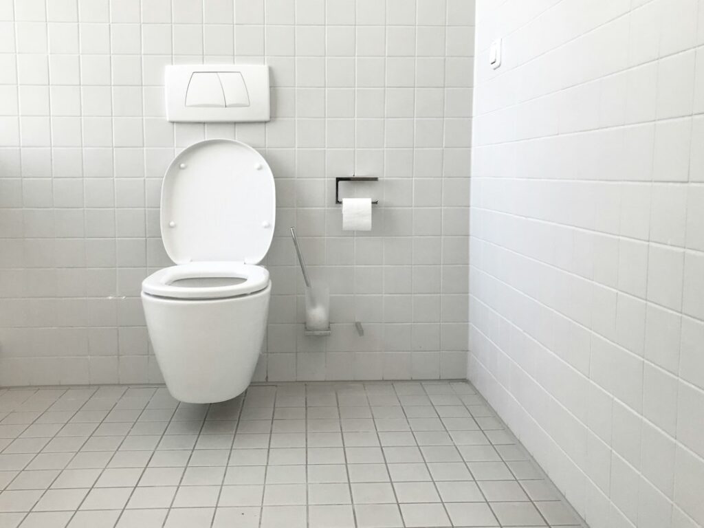 Cassetta WC esterna da controllare quando fa rumore dopo lo scarico