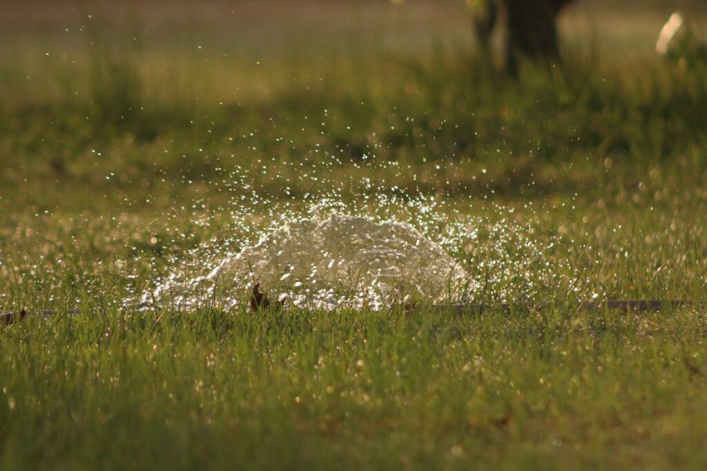 Irrigatore pop-up nel prato che resta alzato dopo l’irrigazione