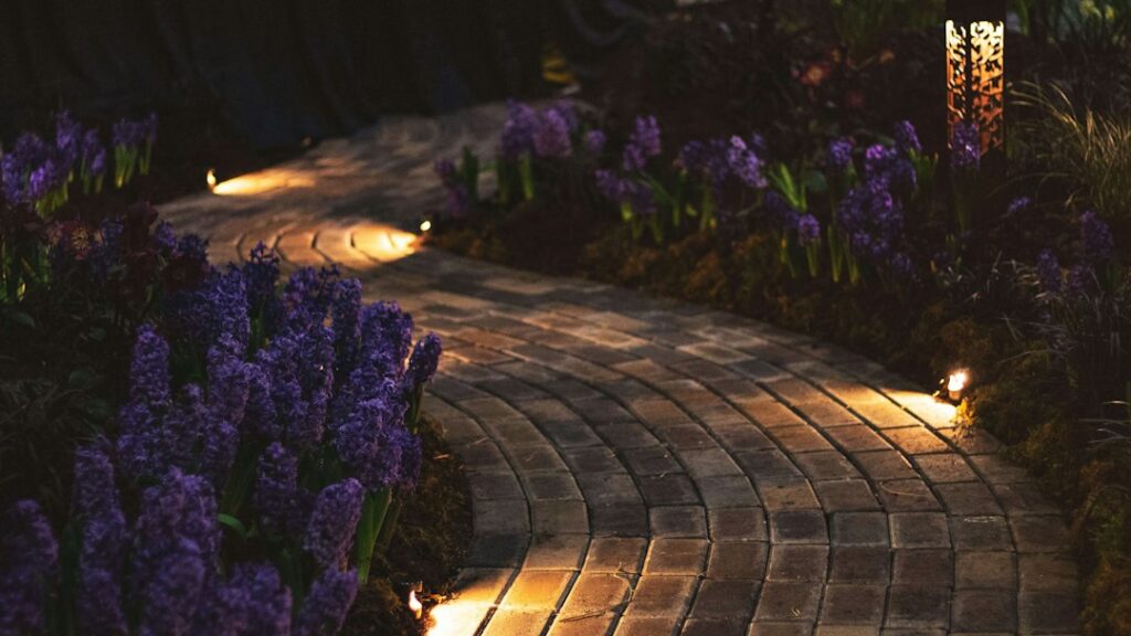 Luci da giardino accese lungo un vialetto notturno